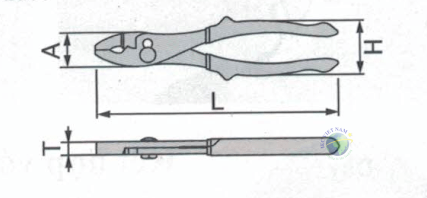 CP-SG-02-min